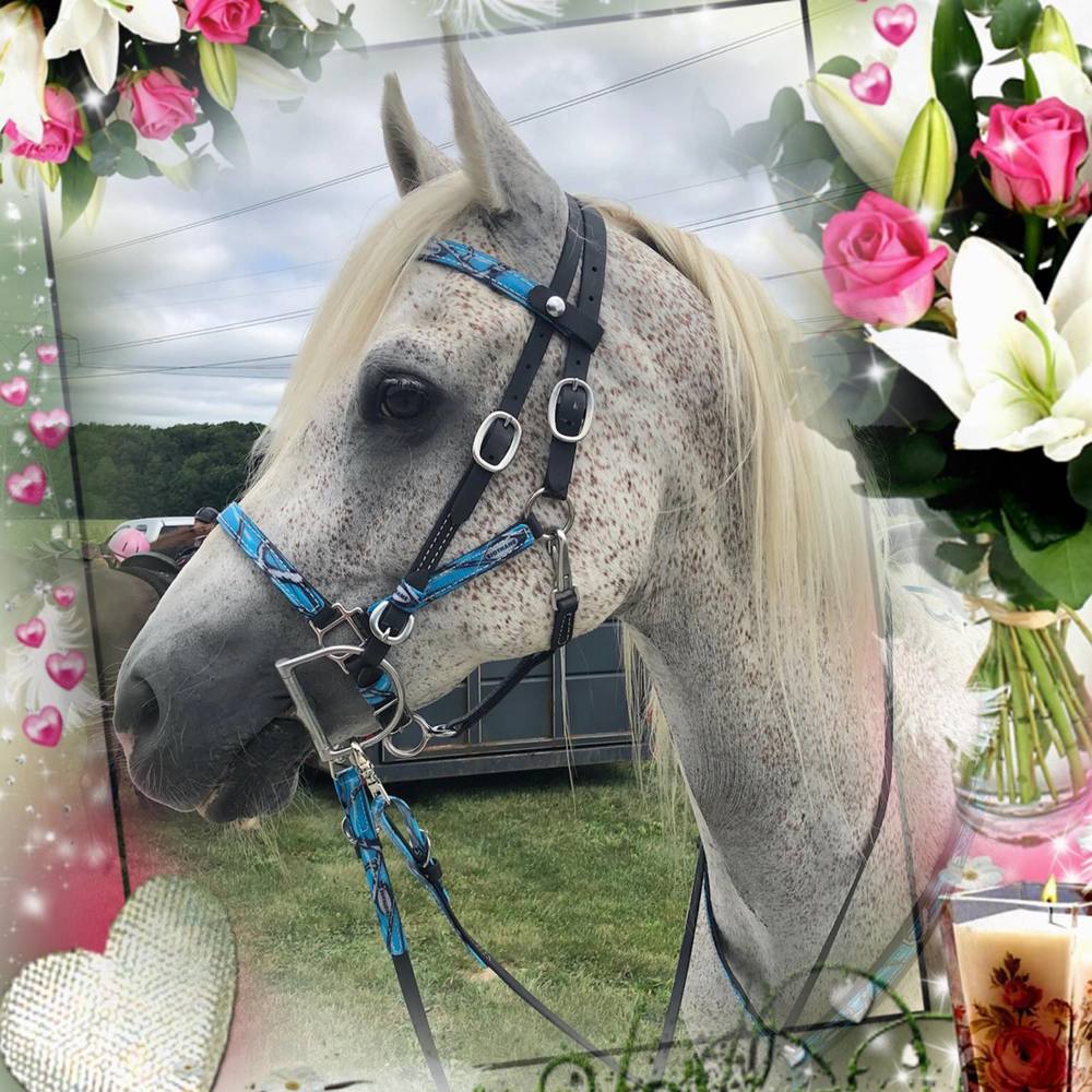 Meet your Posher, Stacy